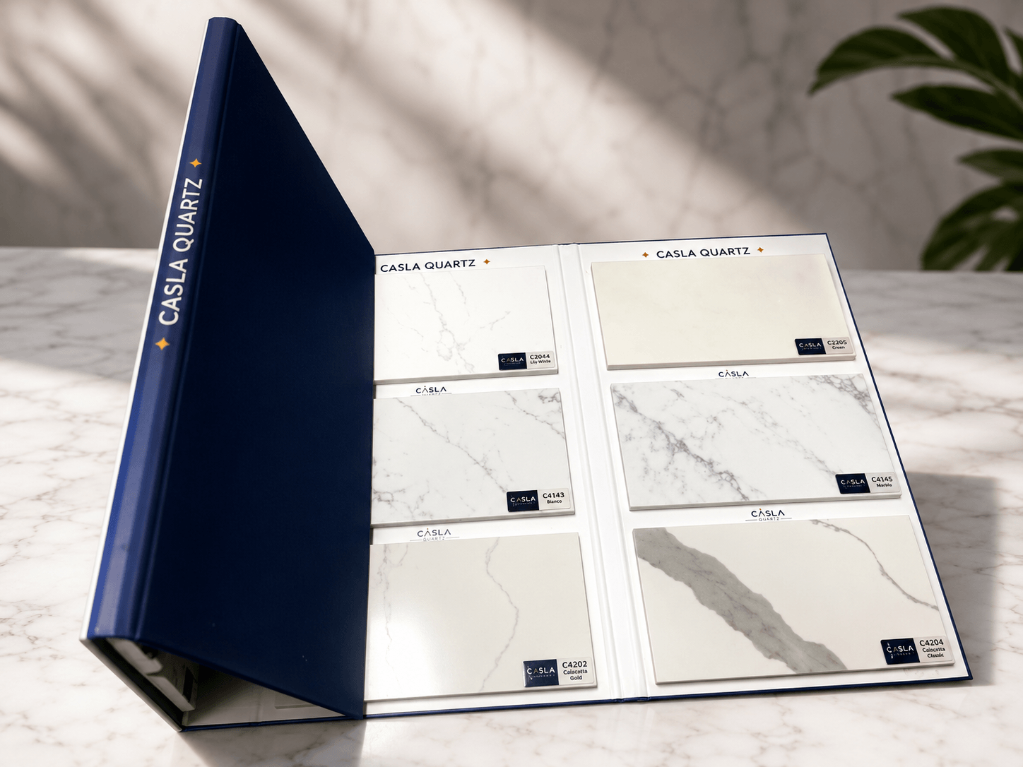 BROCHURE SP ĐÁ - Ảnh 1
